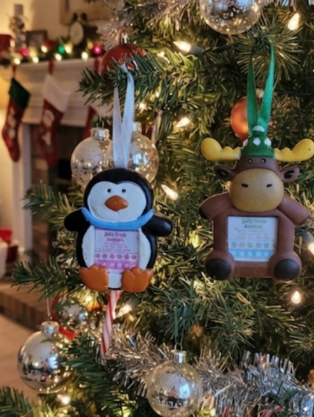 Holiday Moose and Penguin Keepsake Photograph Display Ornament Set